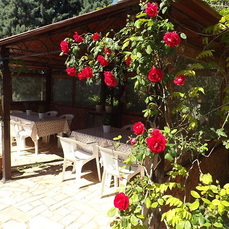 B&B Villa Lena Turi Luaran gambar
