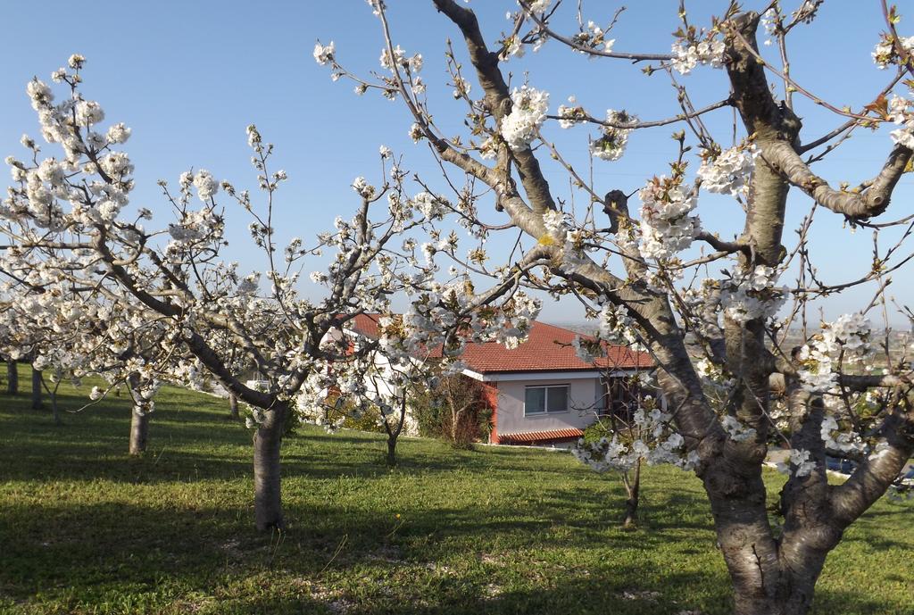 B&B Villa Lena Turi Luaran gambar