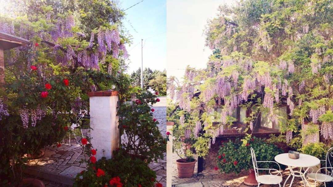 B&B Villa Lena Turi Luaran gambar