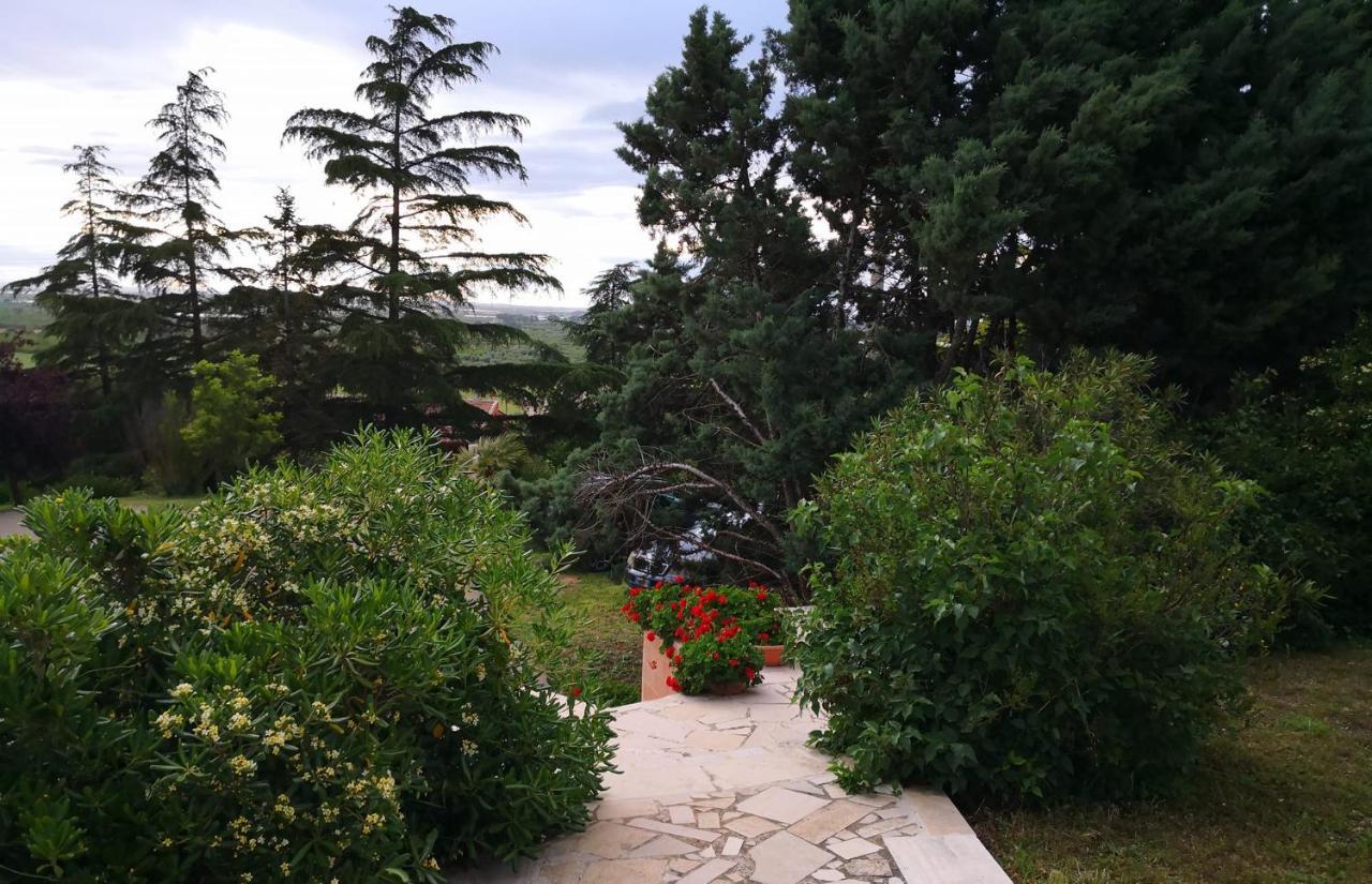 B&B Villa Lena Turi Luaran gambar