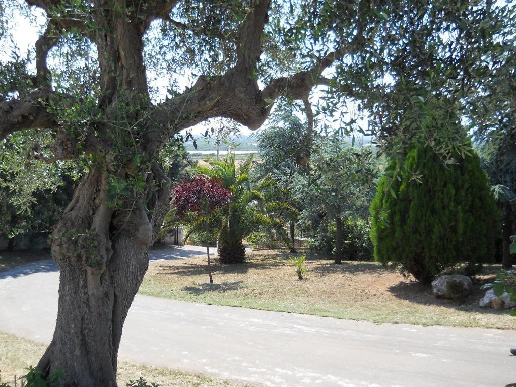 B&B Villa Lena Turi Luaran gambar
