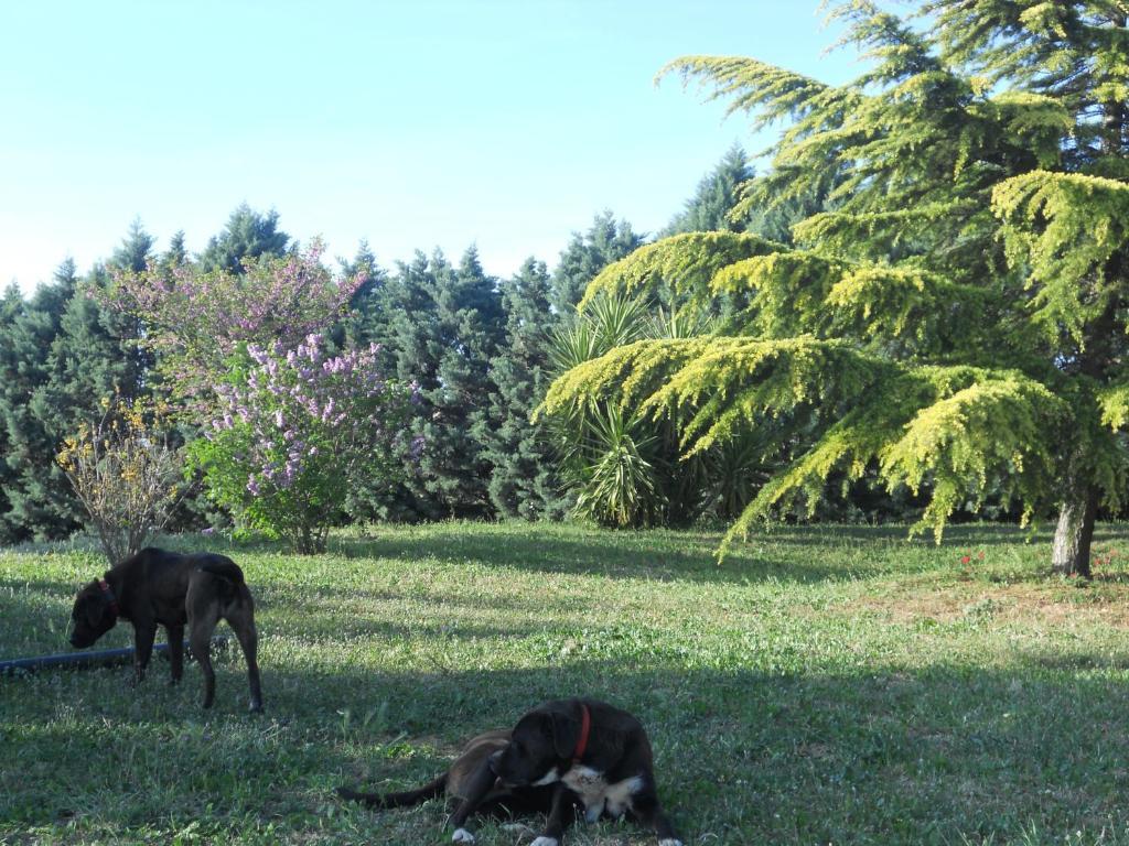 B&B Villa Lena Turi Luaran gambar